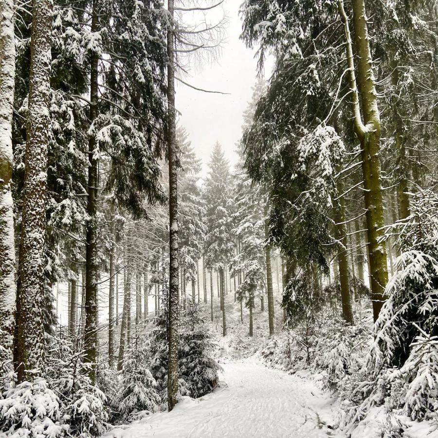Harz Is Calling Goslar Exterior photo