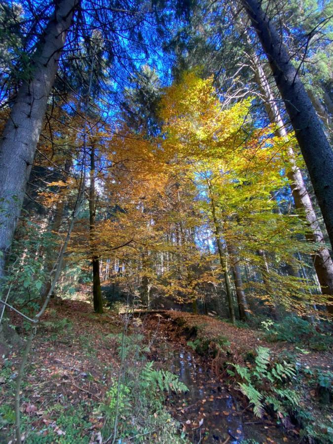 Harz Is Calling Goslar Exterior photo